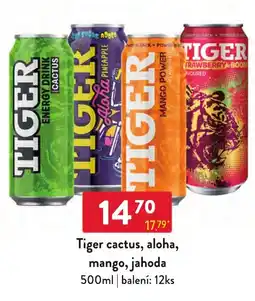 Qanto Tiger cactus, aloha, mango, jahoda nabídka