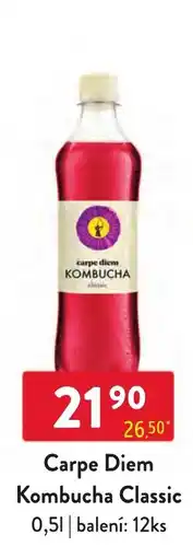 Qanto Carpe Diem Kombucha Classic nabídka