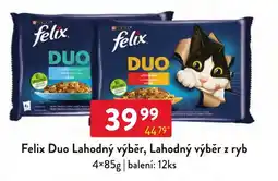 Qanto Felix Duo Lahodný výběr nabídka