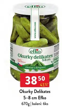 Qanto Efko Okurky Delikates nabídka