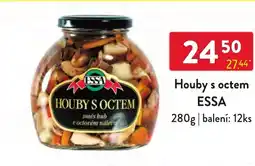 Qanto Essa houby s octem nabídka
