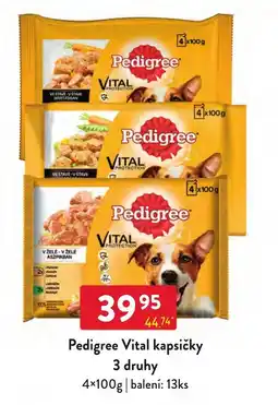 Qanto Pedigree Vital kapsičky nabídka