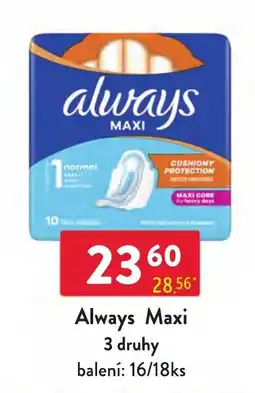 Qanto Always Maxi nabídka