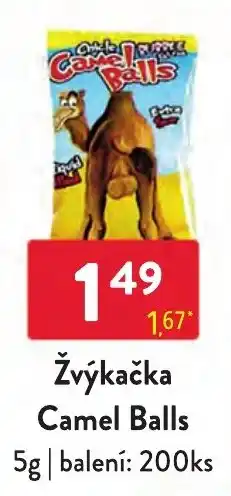 Qanto Camel Balls nabídka