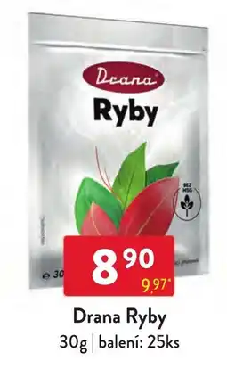 Qanto Drana Ryby nabídka