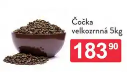 Qanto Čočka velkozrnná nabídka