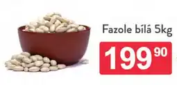 Qanto Fazole bílá nabídka