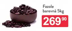 Qanto Fazole barevná nabídka