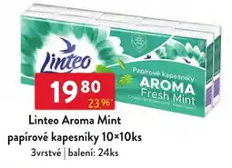 Qanto Linteo aroma mint nabídka