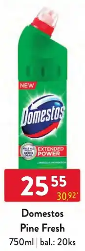 Qanto Domestos Pine Fresh nabídka