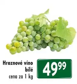 Qanto Hroznové víno bílé nabídka