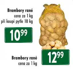 Qanto Brambory rané nabídka