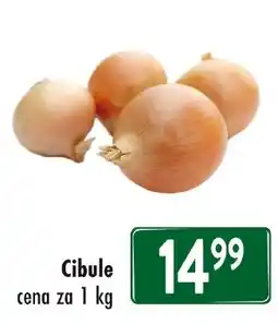 Qanto Cibule nabídka