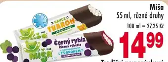 Miša černý rybíz