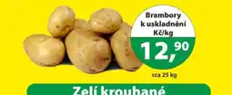 Konzum Brambory k uskladnění nabídka