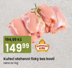 TEMPO Vodňanské kuře kuřecí stehenní řízky bez kostí nabídka