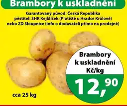 Konzum Brambory k uskladnění nabídka