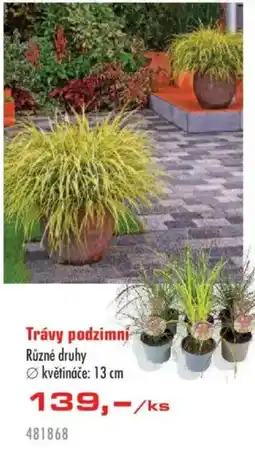 Uni Hobby Trávy podzimní nabídka