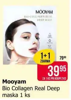 Teta Mooyam nabídka