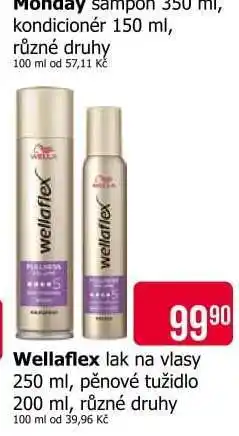 Teta Wellaflex lak na vlasy 250 ml, pěnové tužidlo 200 ml, různé druhy nabídka