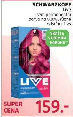 Rossmann Schwarzkopf Live nabídka