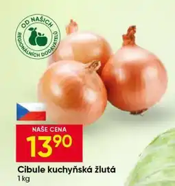 Hruška Cibule kuchyňská žlutá nabídka