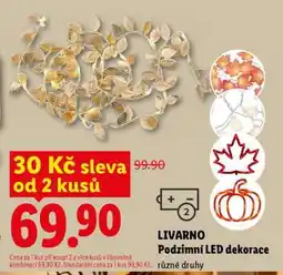 Lidl LIVARNO Podzimní LED dekorace nabídka