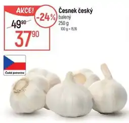 Globus Česnek český nabídka