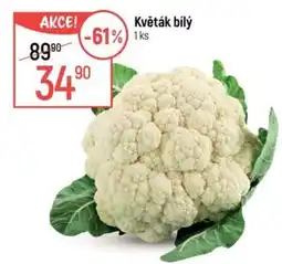 Globus Květák bílý nabídka