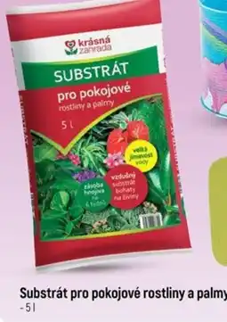 Globus Substrát pro pokojevě rostliny a palmy nabídka