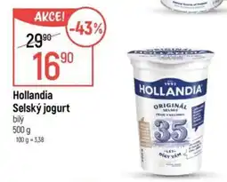 Globus Hollandia selský jogurt bílý nabídka