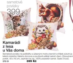 Decodoma Kamarádi z lesa u Vás doma nabídka