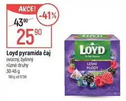 Globus Loyd pyramida čaj nabídka