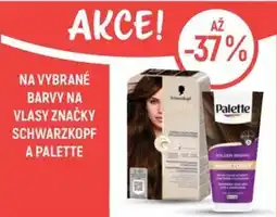 Globus Schwarzkopf Palette nabídka