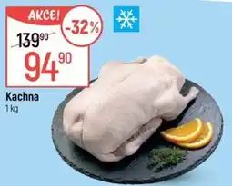 Globus Kachna nabídka