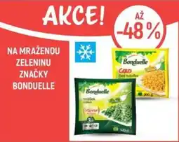 Globus Bonduelle mražená zelenina nabídka