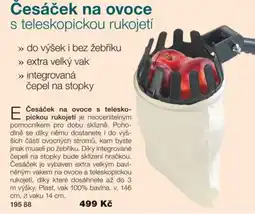 Decodoma Česáček na ovoce s teleskopickou rukojetí nabídka