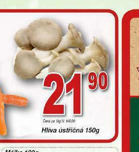 Lidl Hlíva ústřičná nabídka