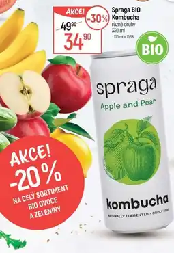 Globus Spraga Bio kombucha nabídka