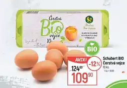 Globus Schubert BIO Čerstvá vejce nabídka