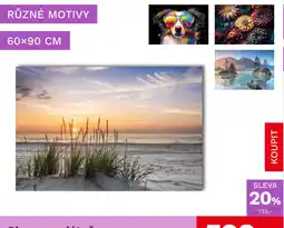 Asko Různé motivy nabídka