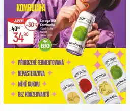 Globus Spraga Bio kombucha nabídka