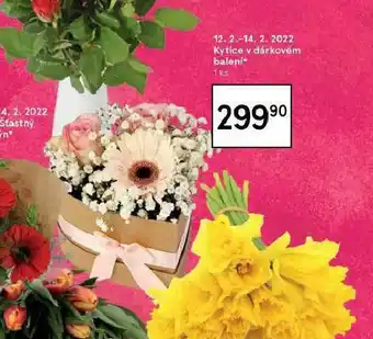 Tesco Kytice v dárkovém balení nabídka