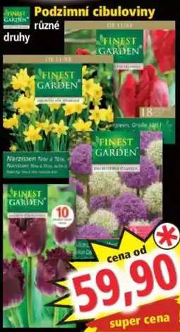 Norma Finest Garden podzimní cibuloviny nabídka