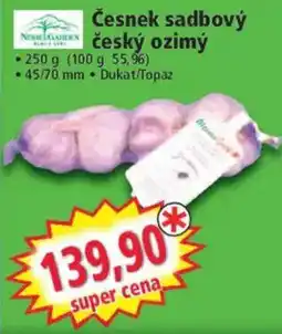 Norma Nebelgarden česnek sadbový český ozimý nabídka