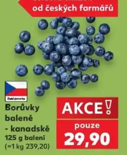 Kaufland Borůvky balené nabídka
