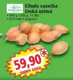 Norma Cibule sazečka česká ozimá nabídka