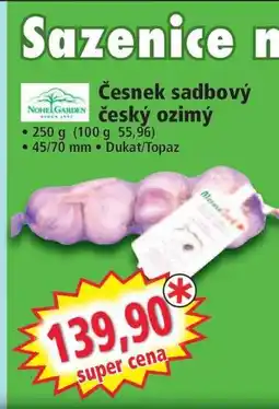Norma Česnek sadbový český ozimý nabídka