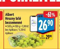 Albert Albert Hrozny bílé bezsemenné nabídka