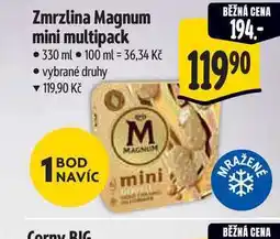 Albert Zmrzlina Magnum mini multipack nabídka
